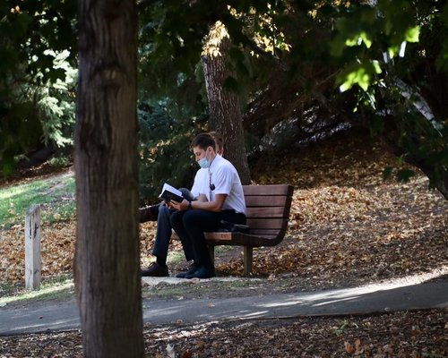 Senior man reading book in park